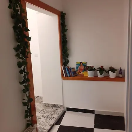 Pensjonat Zaarania *