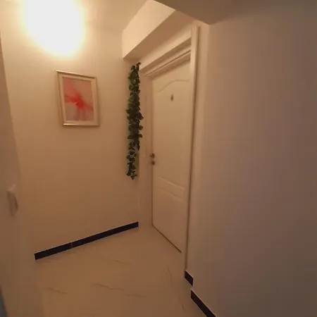 Zaarania * Sarajewo